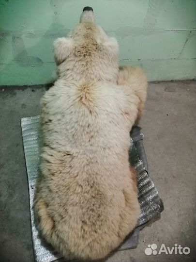 Статуэтка Медведя, фигурка животного