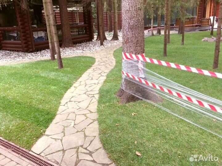 Рулонный газон от производителя