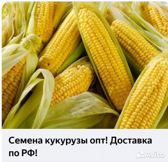 Комбикорма,ячмень,пшеница кукуруза