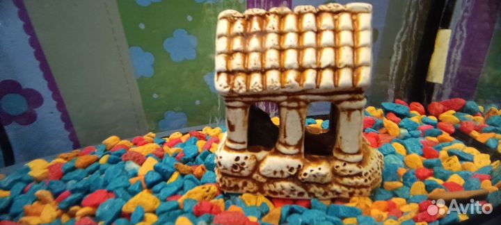 Аквариум и принадлежности для него