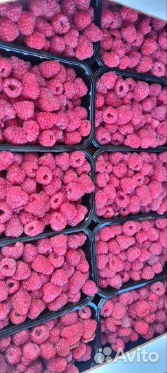 Малина Vip с доставкой крупная сладкая