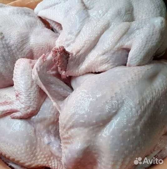 Домашние куриные яйца