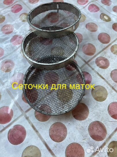 Пчеловодство