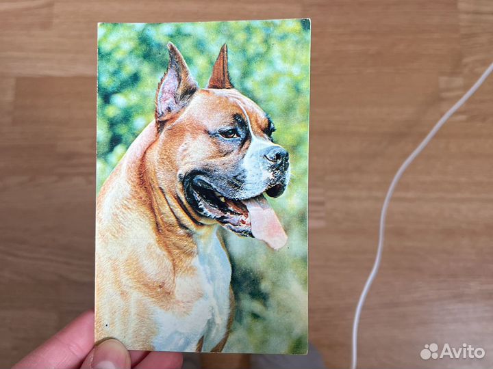 Почтовые карточки СССР