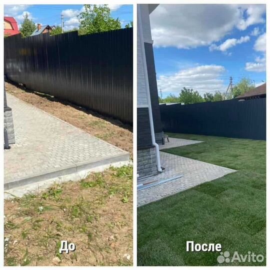 Рулонный газон /продажа/укладка