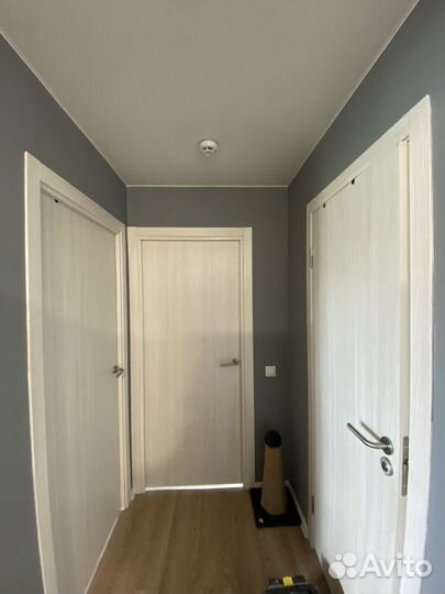Двери межкомнатные с коробкой