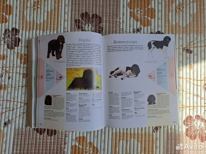 Энциклопедия Собаки