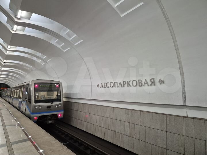 Торговая площадь, 88 м² у метро Лесопарковая