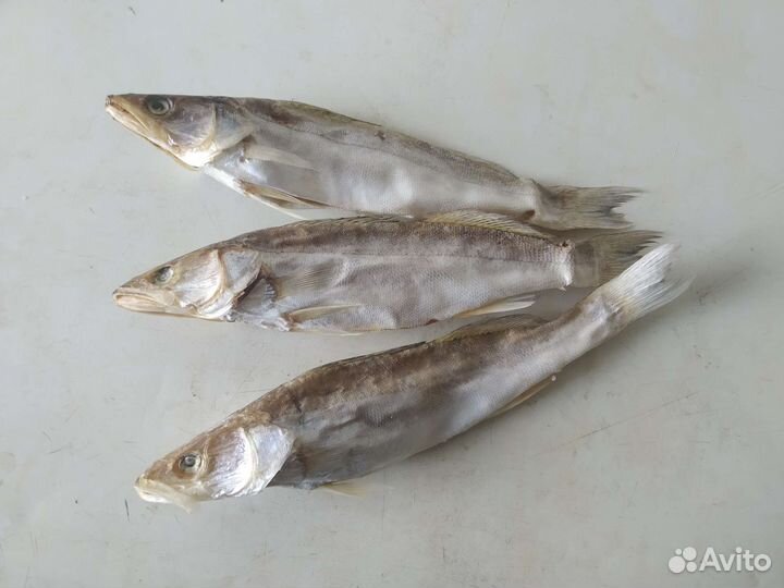 Вяленая рыба