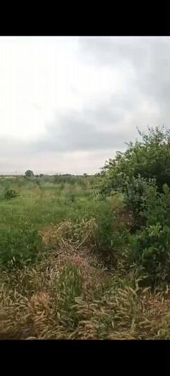 Дом 138 м² на участке 41 сот.