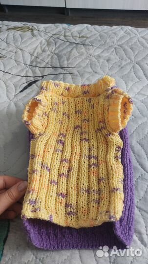 Одежда для собак