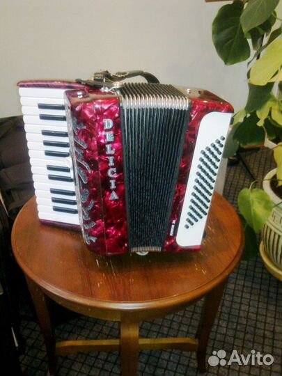 Аккордеон delicia juniuor 24 Tipo A Mano