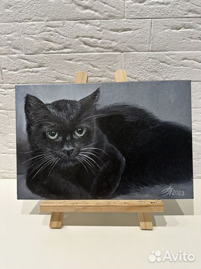 Картина маслом на холсте 20/30 кот кошка