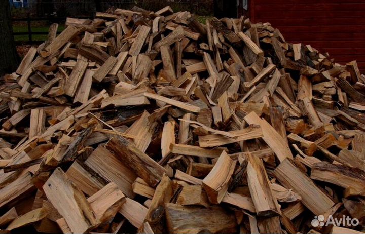 Дрова осина