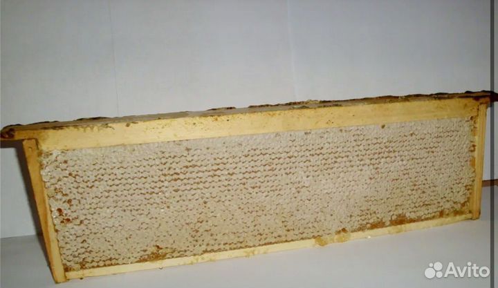 Мед в сотах