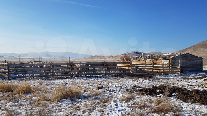 Участок 25 сот. (СНТ, ДНП)