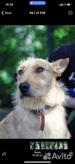 Отдам в хорошие руки