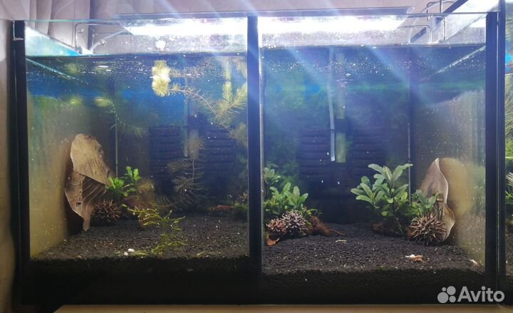 Аквариум 2-х секционный + аквариум 3-5л