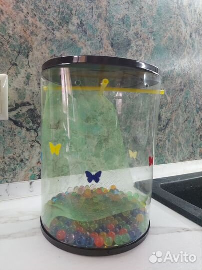 Бабочкарий