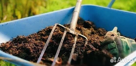 Навоз перегной коровий jt5