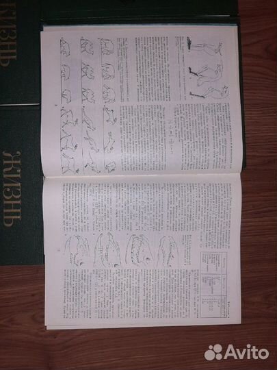 Жизнь животных 7 томов