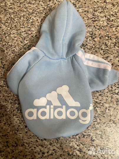 Одежда для собак