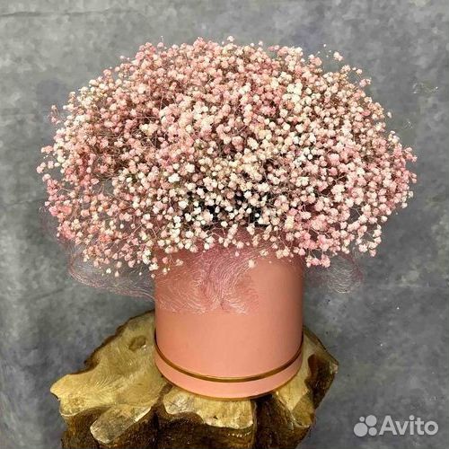 Букет Цветы Гипсофилы