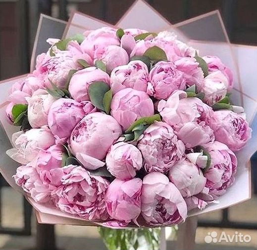 Пионы Букет пионов