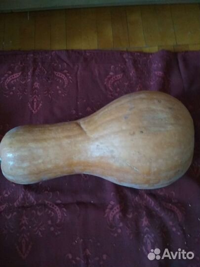 Семена тыквы