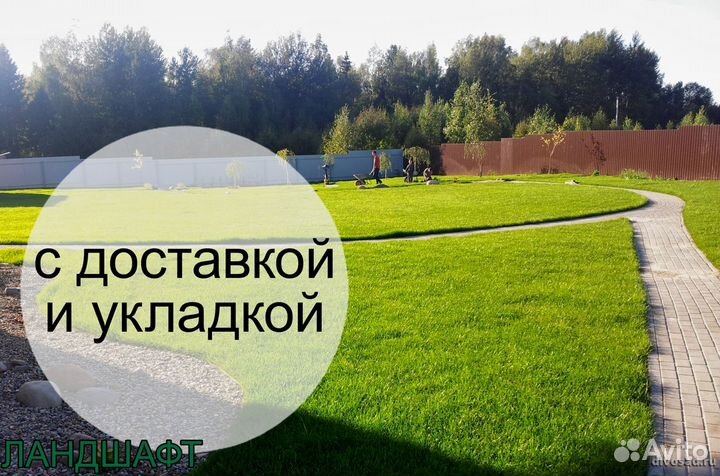 Парковый рулонный газон доставка Чехов