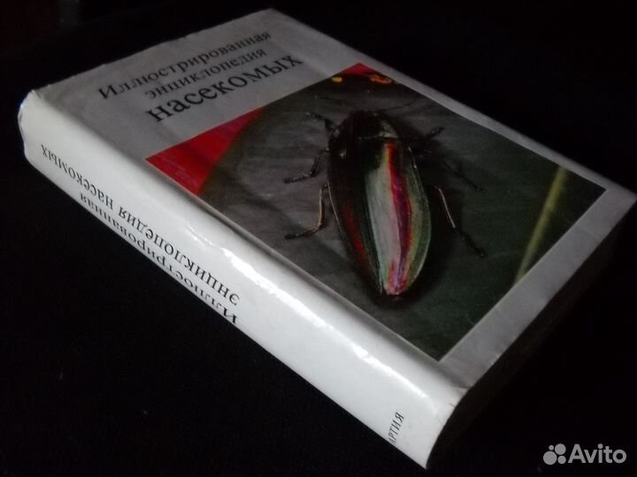 «Иллюстрированная энциклопедия насекомых»