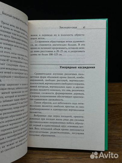 Богатый урожай ягод и фруктов на вашем участке