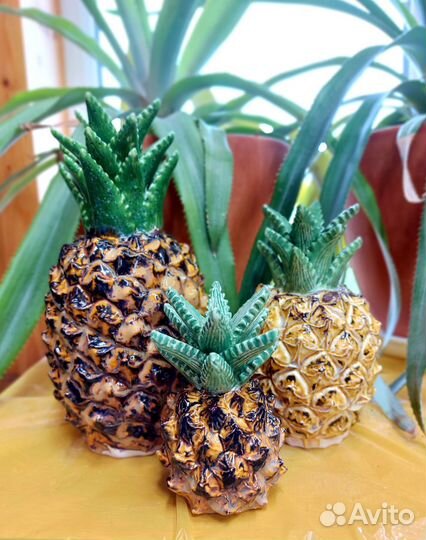 Декоративный ананас