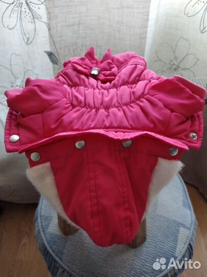 Комбинезон для собаки (девочка)