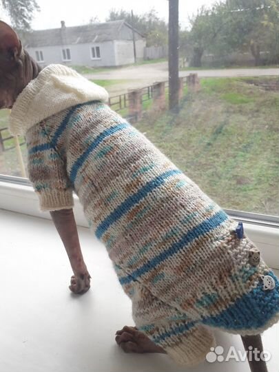 Одежда для собак и кошек