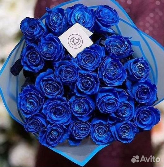 Синие розы Цветы Доставка