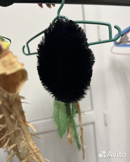 Костюм Африканец, Папуас