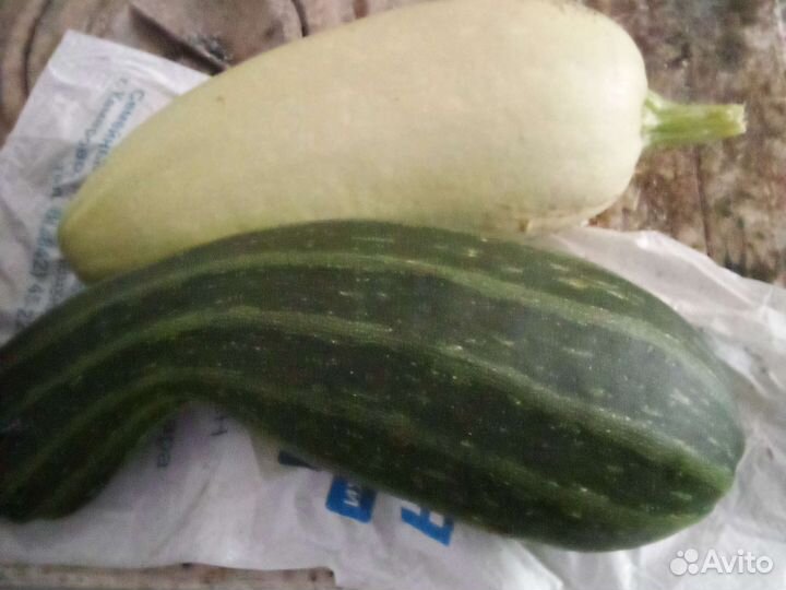 Кабачки