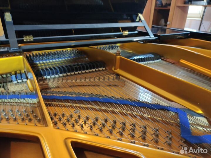 Рояль Блотнер/Bluthner в идеальном состоянии