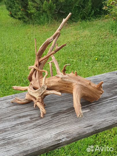 Коряга в террариум