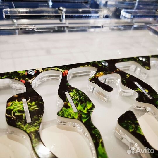 Муравьиная ферма Формикарий