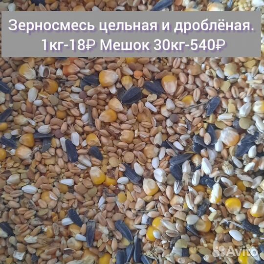Товары для животных