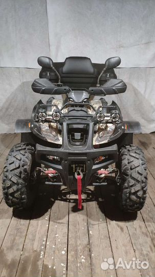 Grizzly
