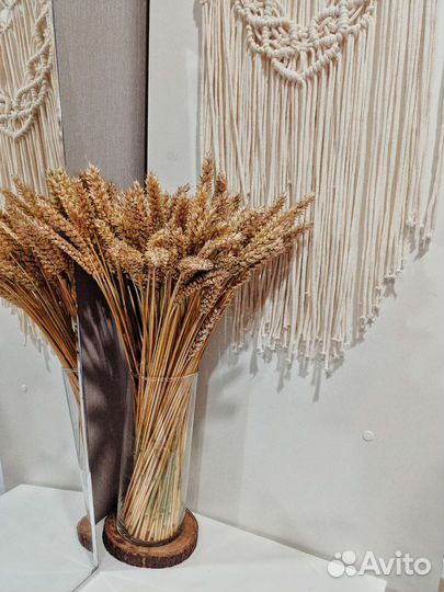 Сухоцветы пшеница 2023