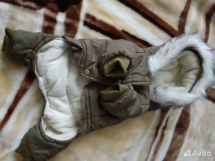 Одежда для собак