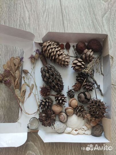 Природные материалы для творчества и поделок