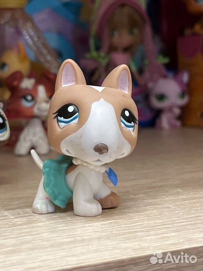 Littlest pet shop