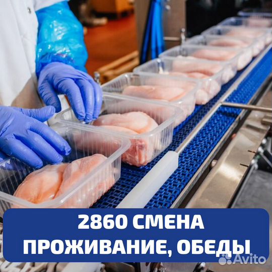 Выезд из Оренбурга, вахта Пенза, упаковщик