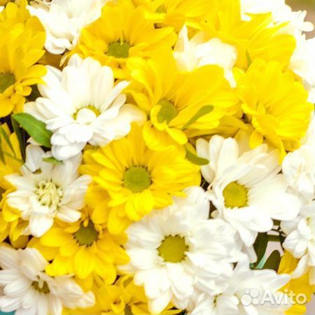 Цветы в коробке 052