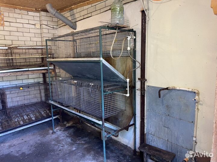 Клетки для кроликов, миниферма